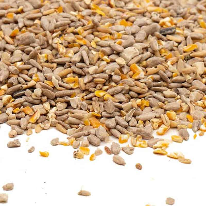 strooivoer high energy