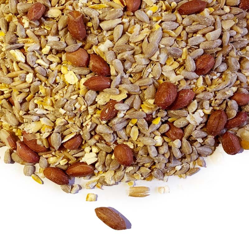 Strooivoer High Energy