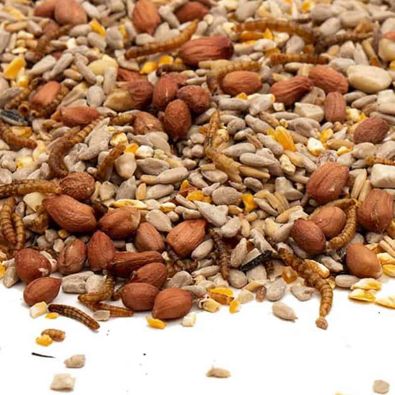 Strooivoer-High-Energy-No-Mess-vogelvoer-met-Gepelde-Pindas