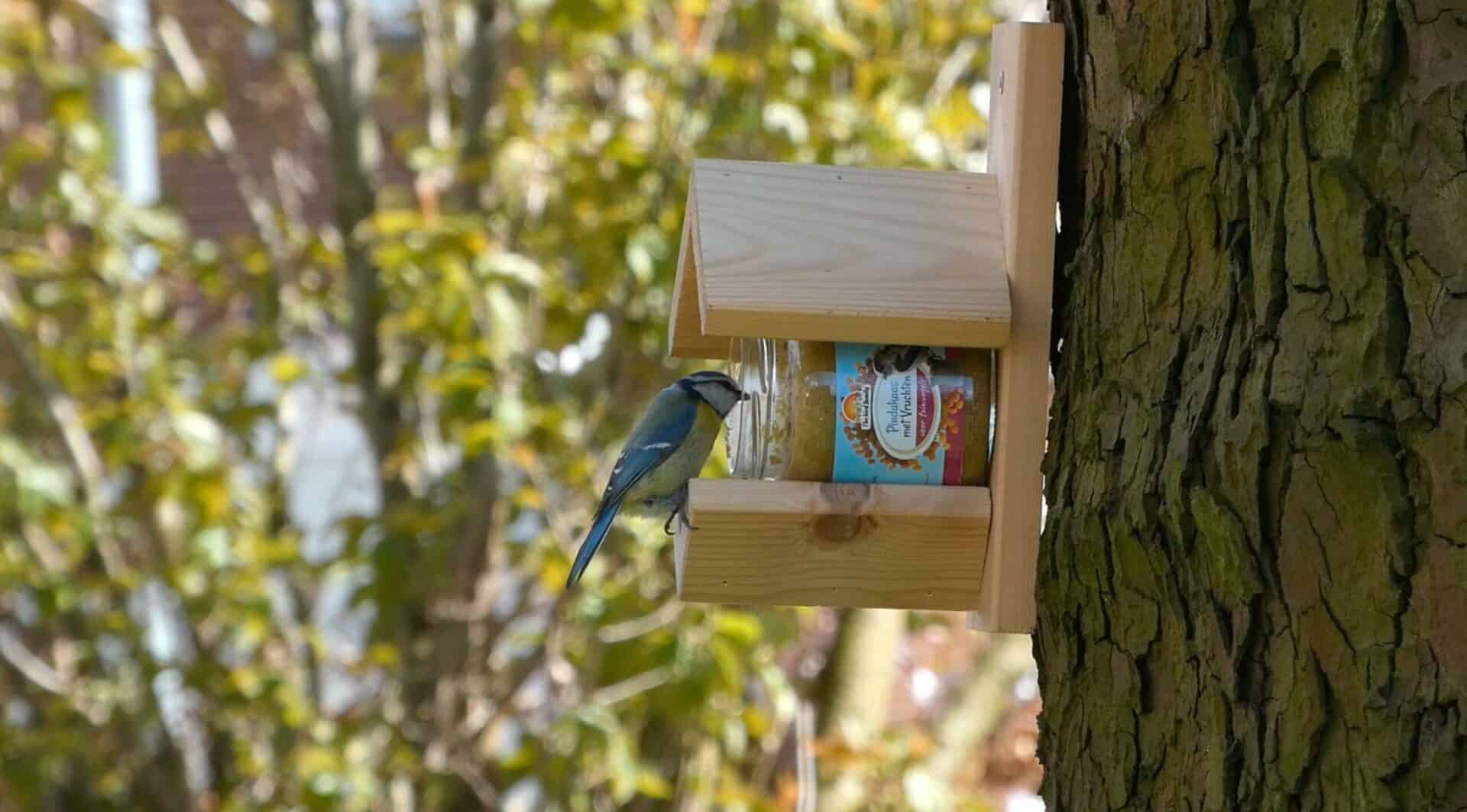 vogelpindakaas mix grootverpakking