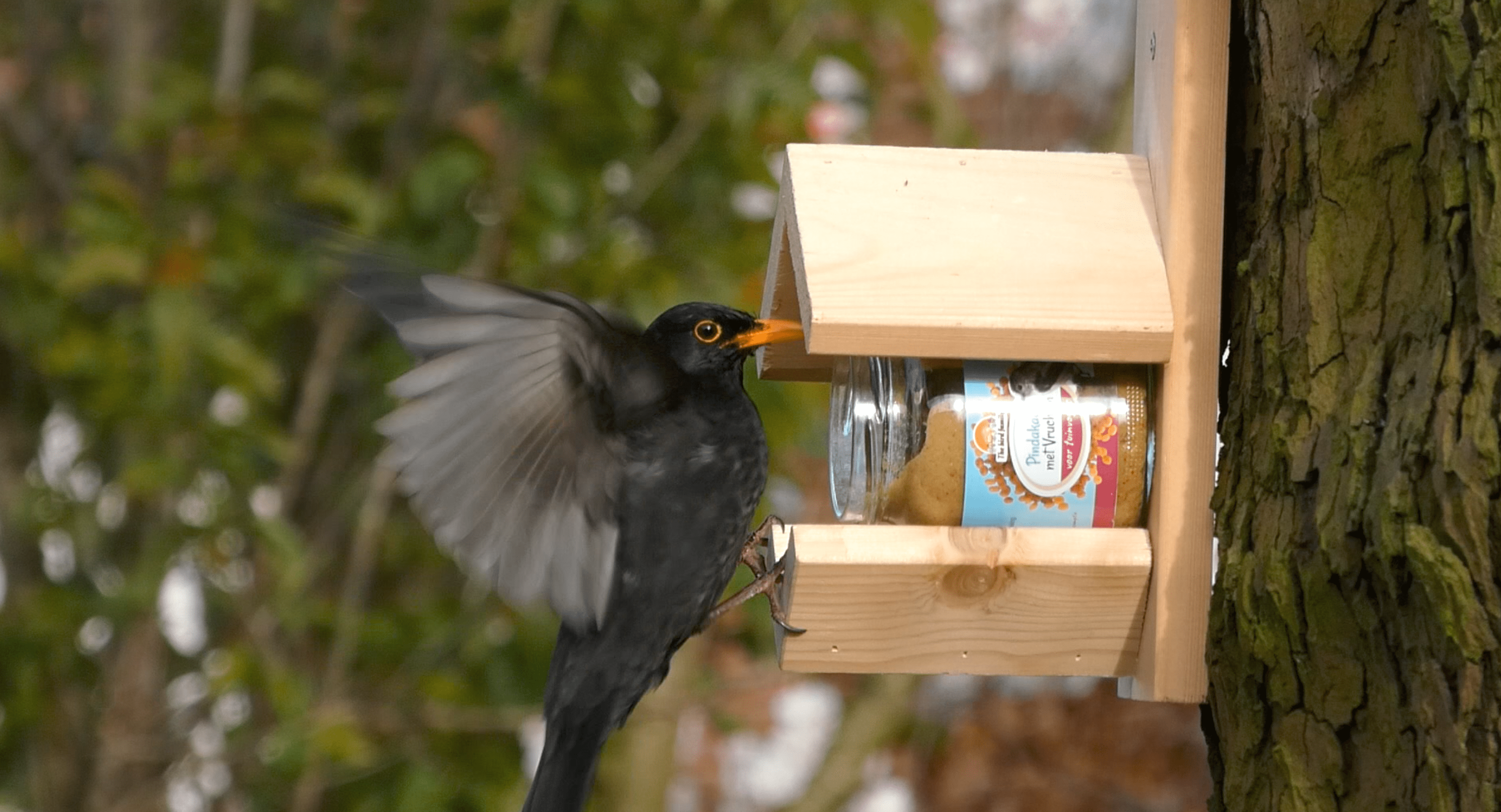 vogelpindakaas mix pakket