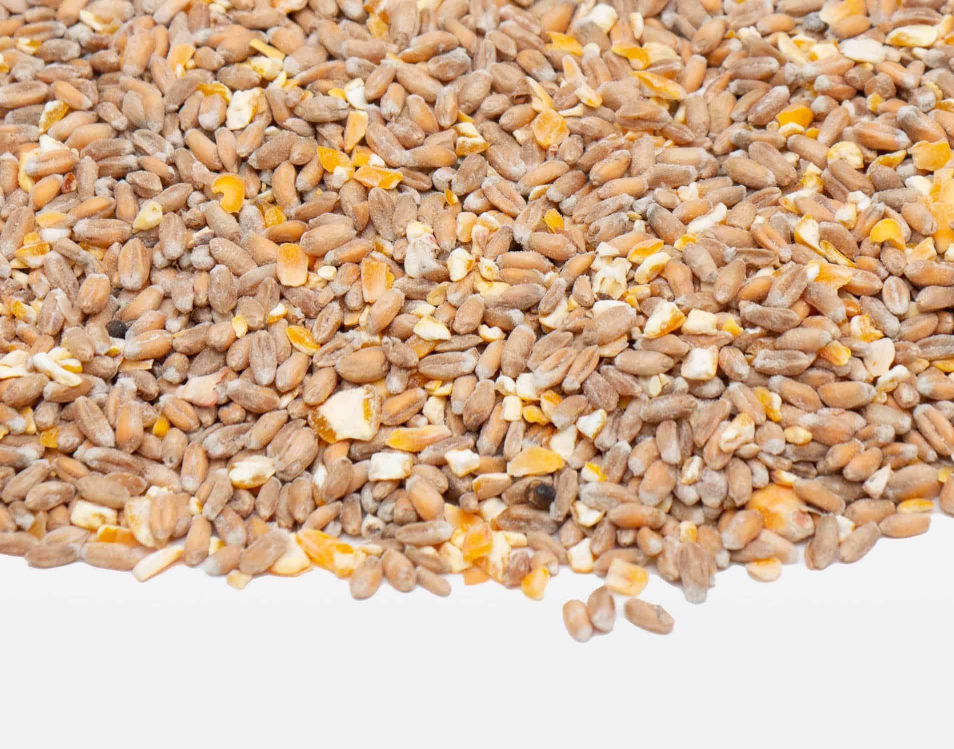 premium gemengd scharrelgraan