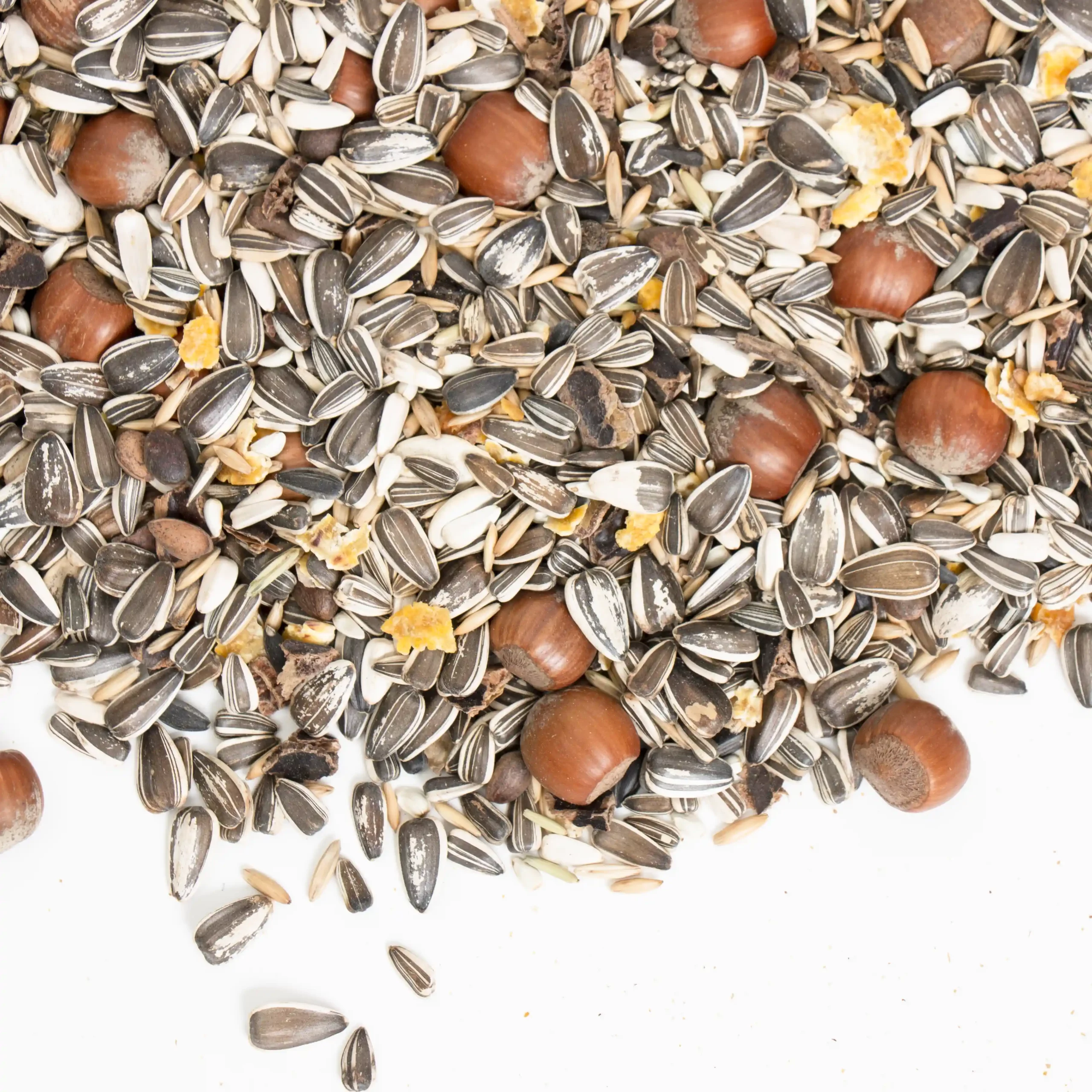 premium eekhoorn mix