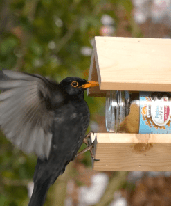 vogelpindakaas mix pakket