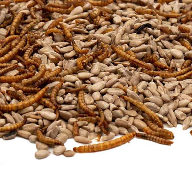 gedroogde meelwormen