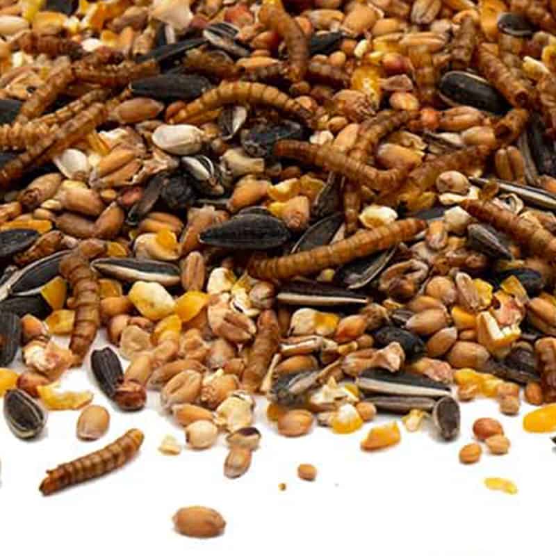 supreme strooivoer meelwormen