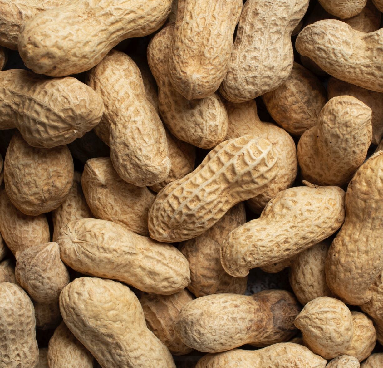 doppinda's premium kwaliteit vogelvoer - ongepelde pinda's