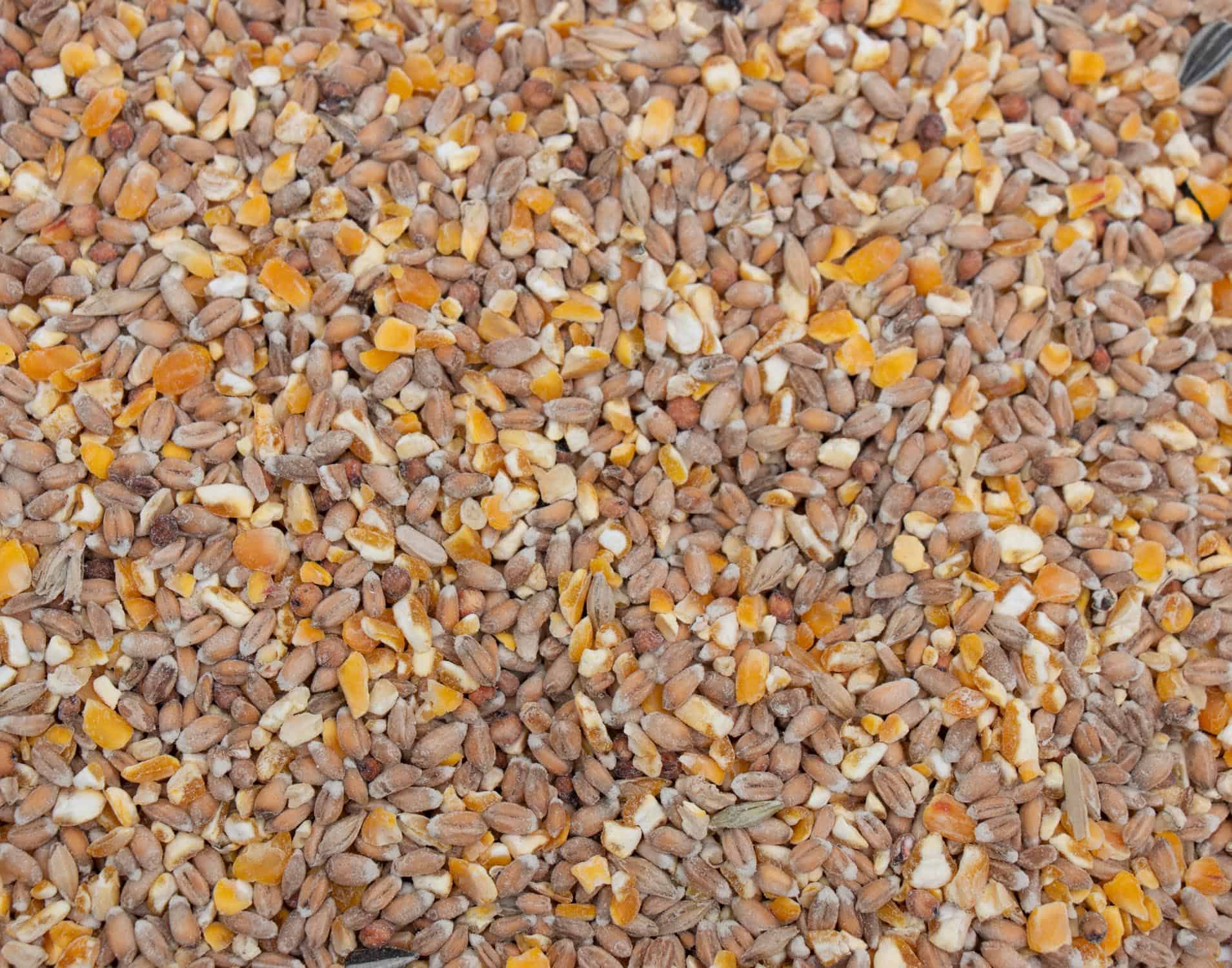 premium gemengd scharrelgraan