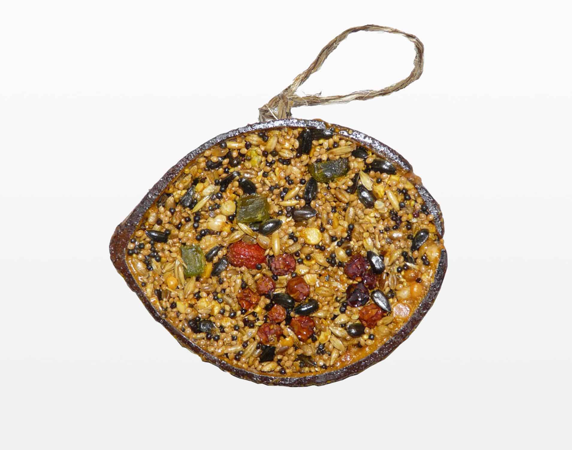 cocosnoot zaden fruit vogelvoer