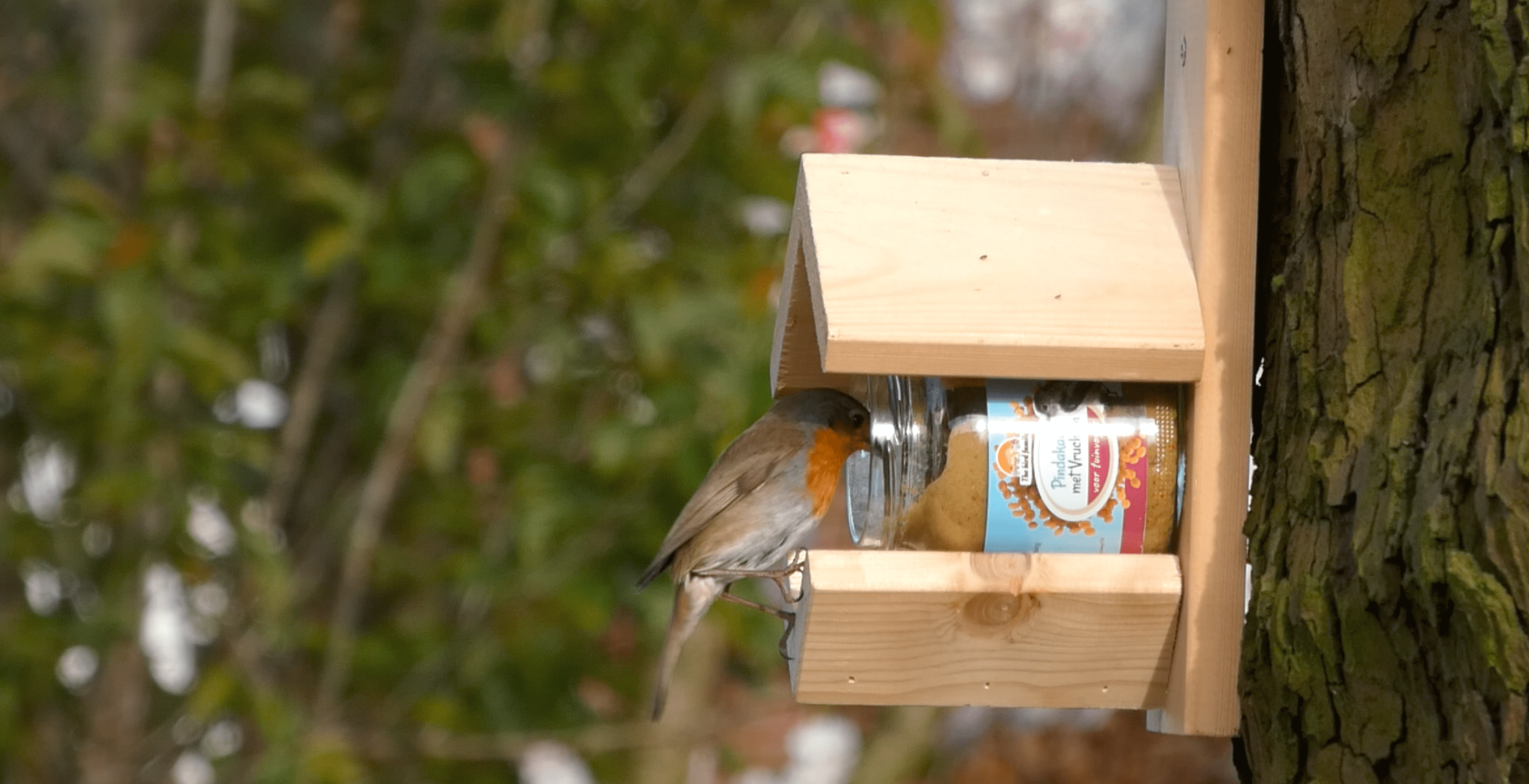 vogelpindakaas mix pakket